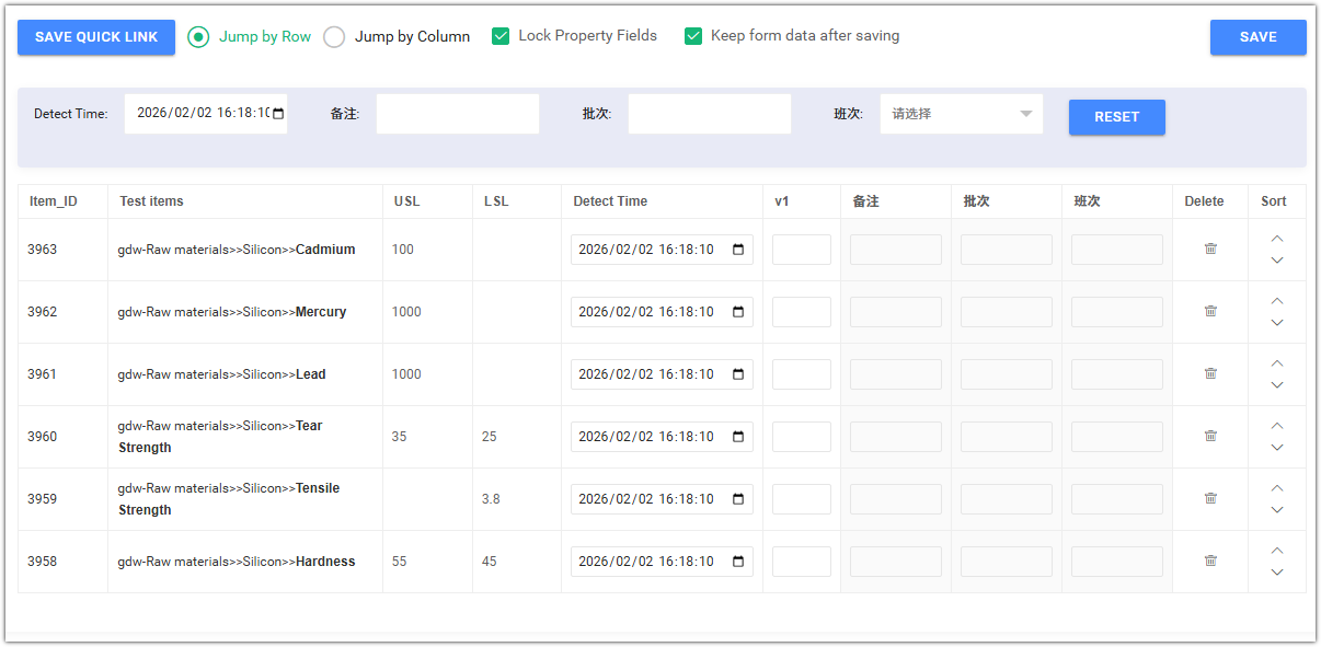 Online Manual Entry Interface 2